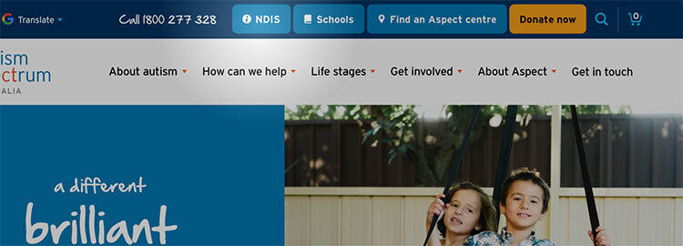 Ndis client